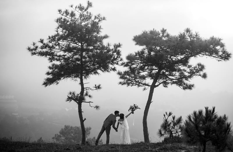 Forest Ceremonies